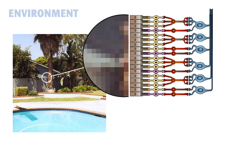 A diagram showing the surrounding environment being captured onto the retina