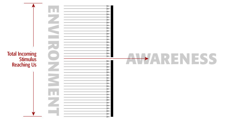 A diagram of awareness within environment versus ignored stimulous within the environment
