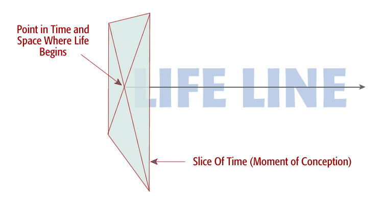 A diagram showing the point in time and space when life begins