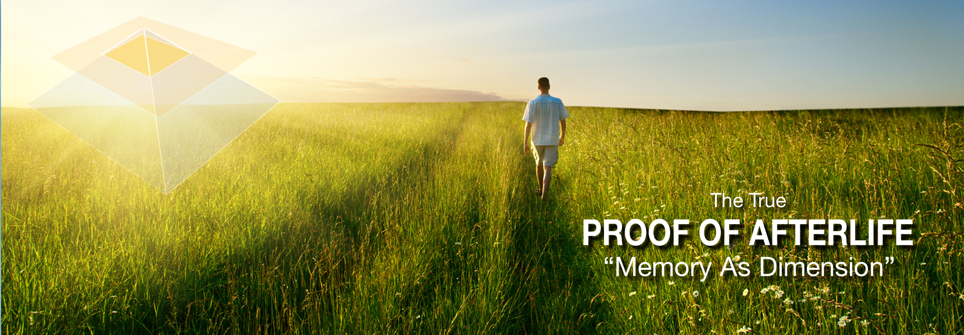 Afterlife Theory Conclusion Diagram