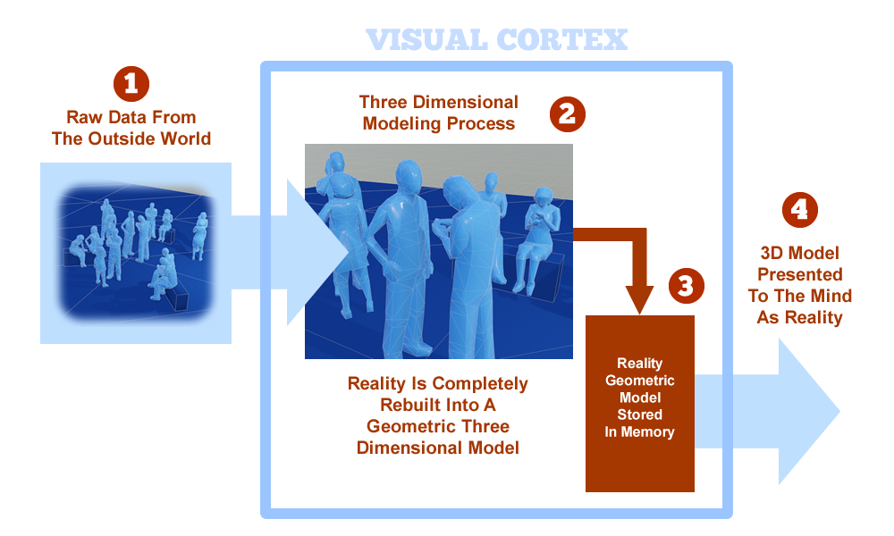 A diagram showing how the outside world is created in the visual cortex