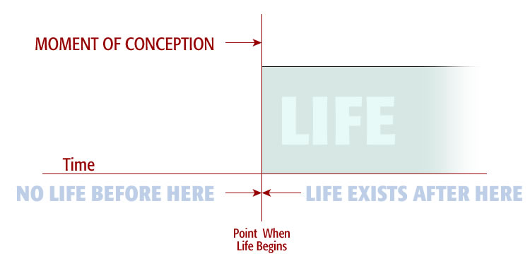The moment of brith in time when life begins